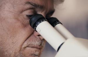 Cientistas estudam gua-viva que pode trazer respostas sobre longevidade aos humanos. 