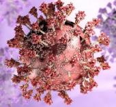 Um estudo produzido por cientistas da África do Sul apontou que a variante ômicron do coronavírus pode "escapar" de parte da imunidade adquirida por pessoas que já tiveram covid-19.