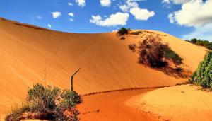 Parque  administrado pelo Governo do Estado, por meio do Instituto Natureza do Tocantins (Naturatins) -